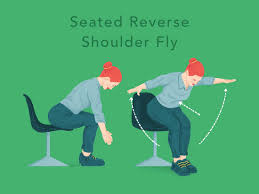 Seated Reverse Shoulder Fly